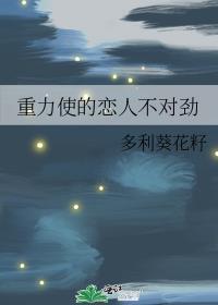 重力效果