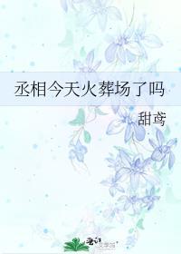 丞相今天火葬场了吗TXT