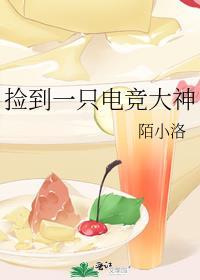 捡到一只电竞大神TXT完整版