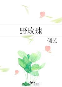野玫瑰之恋