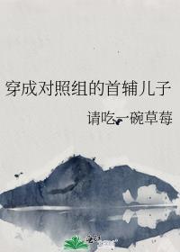 穿成对照组的首辅儿子番外云盘
