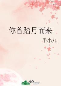 你曾踏月而来 只因我在山中