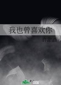我也曾喜欢过你用英语怎么说