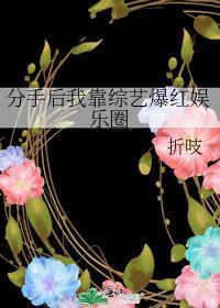 分手后我在娱乐圈爆红了33言情