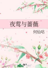 夜莺与蔷薇的寓意与感想