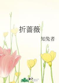 折蔷薇TXT