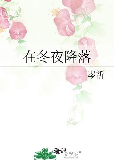 在冬夜降落免费阅读全文