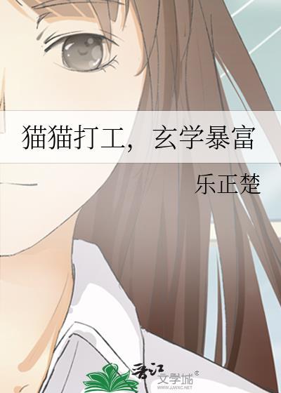 猫咪打工照片