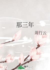 三年役情是那三年