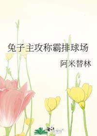 兔子主攻称霸排球场全文阅读