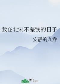 我在北宋不差钱的日子晋江