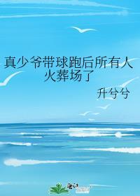 真少爷带球跑后所有人火葬场了升兮兮全文阅读25章