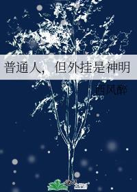 开外挂的人