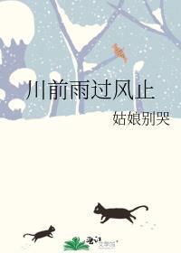 川前雨过风止百度txt