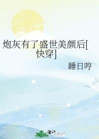 炮灰他有盛世美颜怎么破