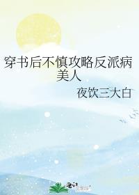 穿书后不慎攻略反派病美人 作者夜饮三大白