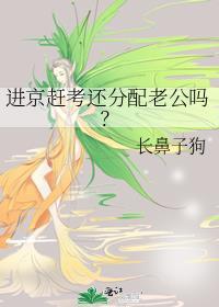 进京赶考还分配老公吗?免费