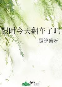 银时 s