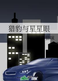 猎豹的眼睛像什么一样