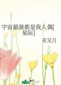 小寡妇和闷石匠的免费阅读