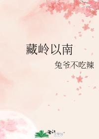 关于藏南问题的最有深度的分析!(强烈推荐)