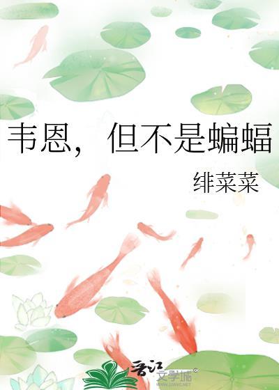 但不是蝙蝠 绯菜菜