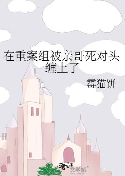我在重案队的故事