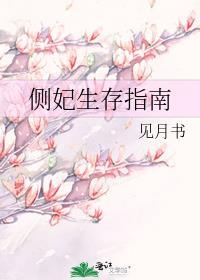 侧妃生存指南 见月书讲什么