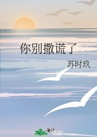 你别撒谎了免费阅读