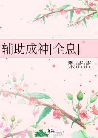 辅助之神