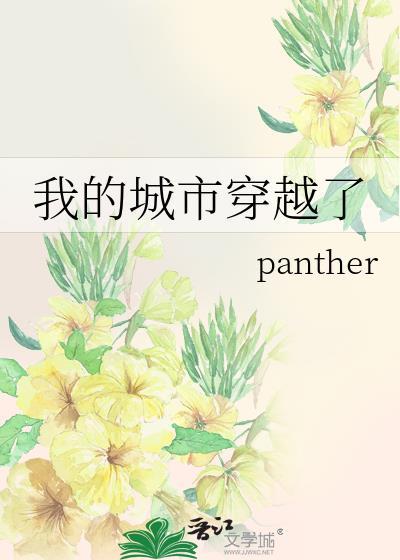 我的城市11