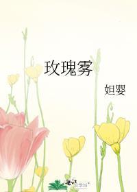 玫瑰雾来免费阅读