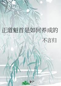 正道魁首是如何养成的完结了吗