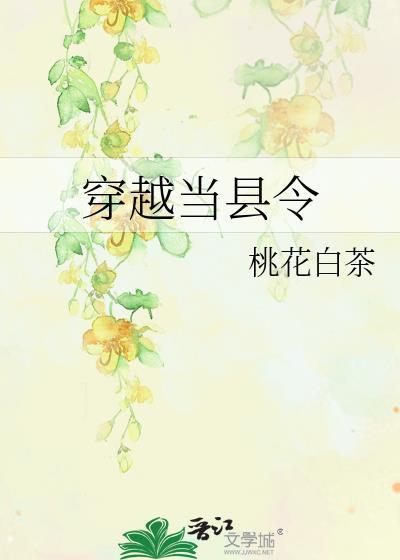 穿越成县令为民做主的