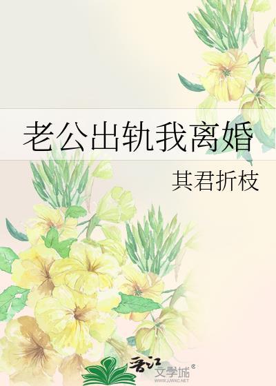 老公出轨我离婚全文免费阅读