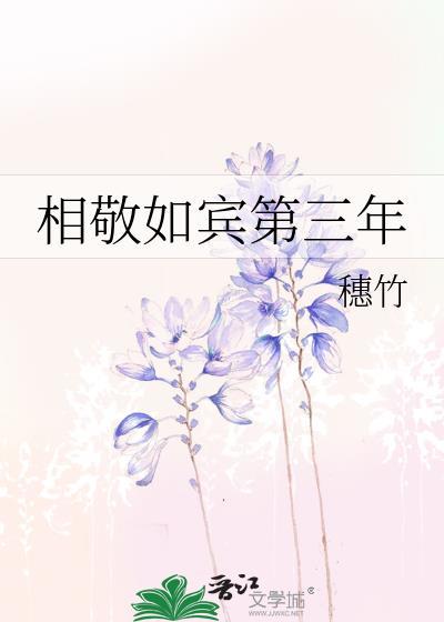 相敬如宾第三年附带番外txt