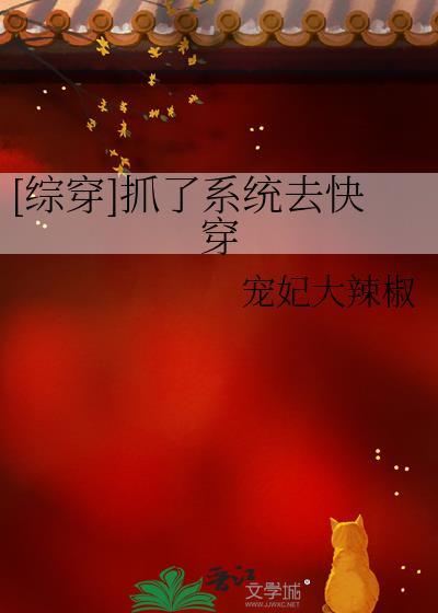 综穿抓了系统去快穿