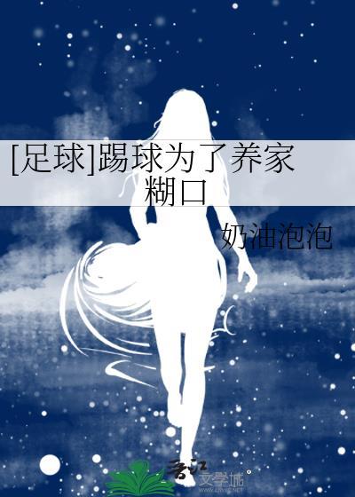 足球踢球为了养家糊口txt