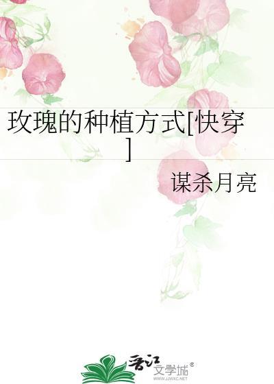 玫瑰种植技术视频教程