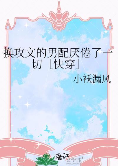 换攻文是什么意思