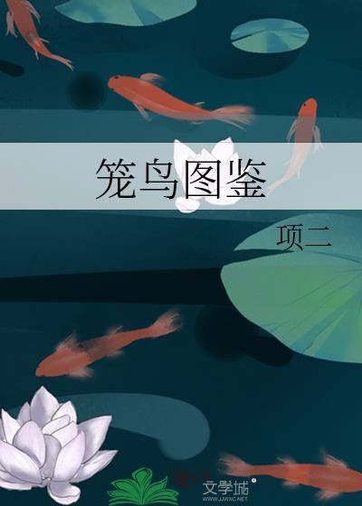 笼鸟图鉴讲的什么故事