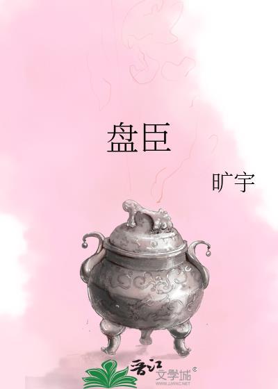 盘臣txt