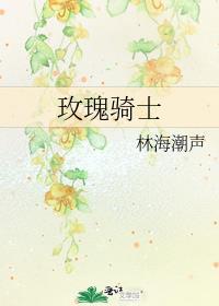 玫瑰骑士一共多少集