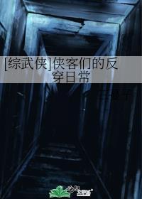 侠客穿成哈免费