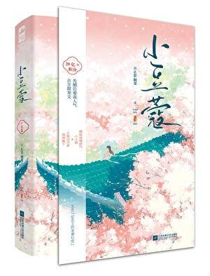 小豆蔻讲的什么