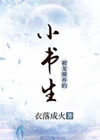 小书生家的彪悍小夫郎