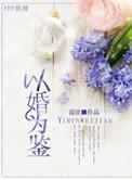 以婚为鉴by湜沚书评