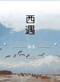 西遇冲锋衣怎么样