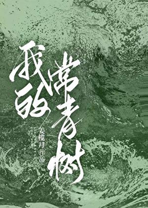 做我的常青树晋江