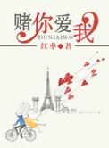 我赌你会爱我gl